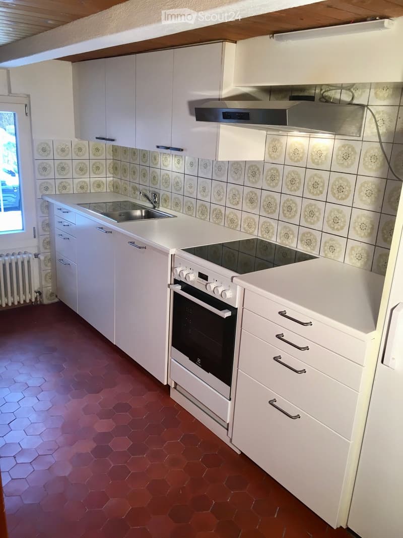 Modern kitchen with white cabinets, stainless steel sink, oven, and range hood. Features decorative tile backsplash and hexagonal red tile flooring.