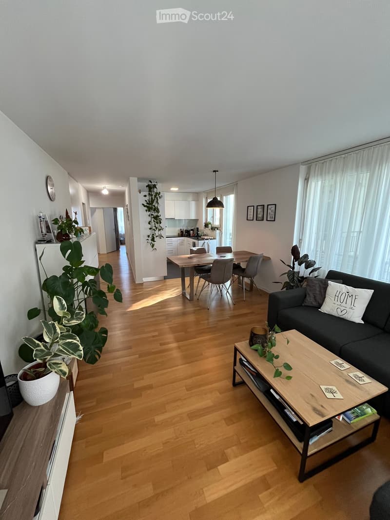 Open-plan living and dining area with wooden flooring, a grey sofa, coffee table, dining table with chairs, and potted plants.