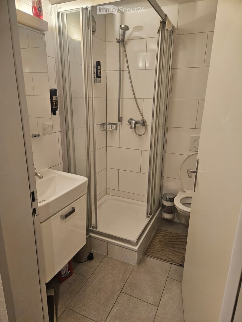 Modern bathroom with a white tiled shower stall, a sink with a cabinet, and a toilet. The shower features a handheld showerhead and a fixed showerhead, with a glass door and a small shelf inside.