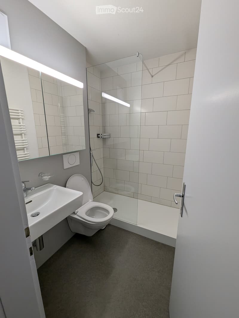 Modern bathroom with white tiles, a glass-enclosed shower, a sink, and a toilet. Features a large mirror with built-in lighting and a towel rack.