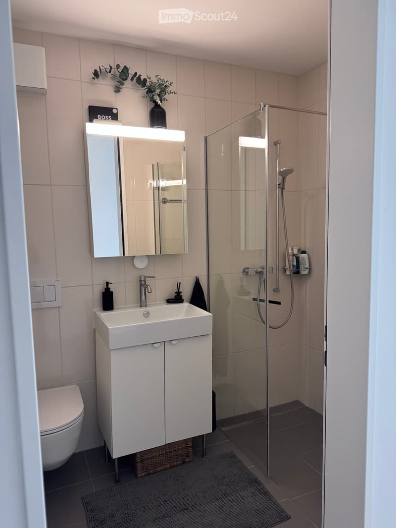 4.5 room apartment, 8045 Zurich (4)