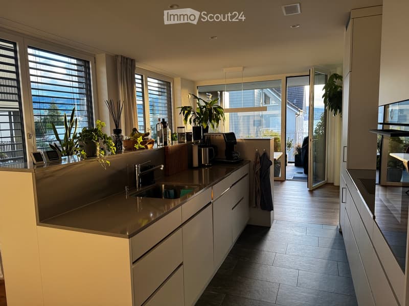 Modern kitchen with white cabinets, stainless steel sink, coffee maker, and a view of a balcony with plants.