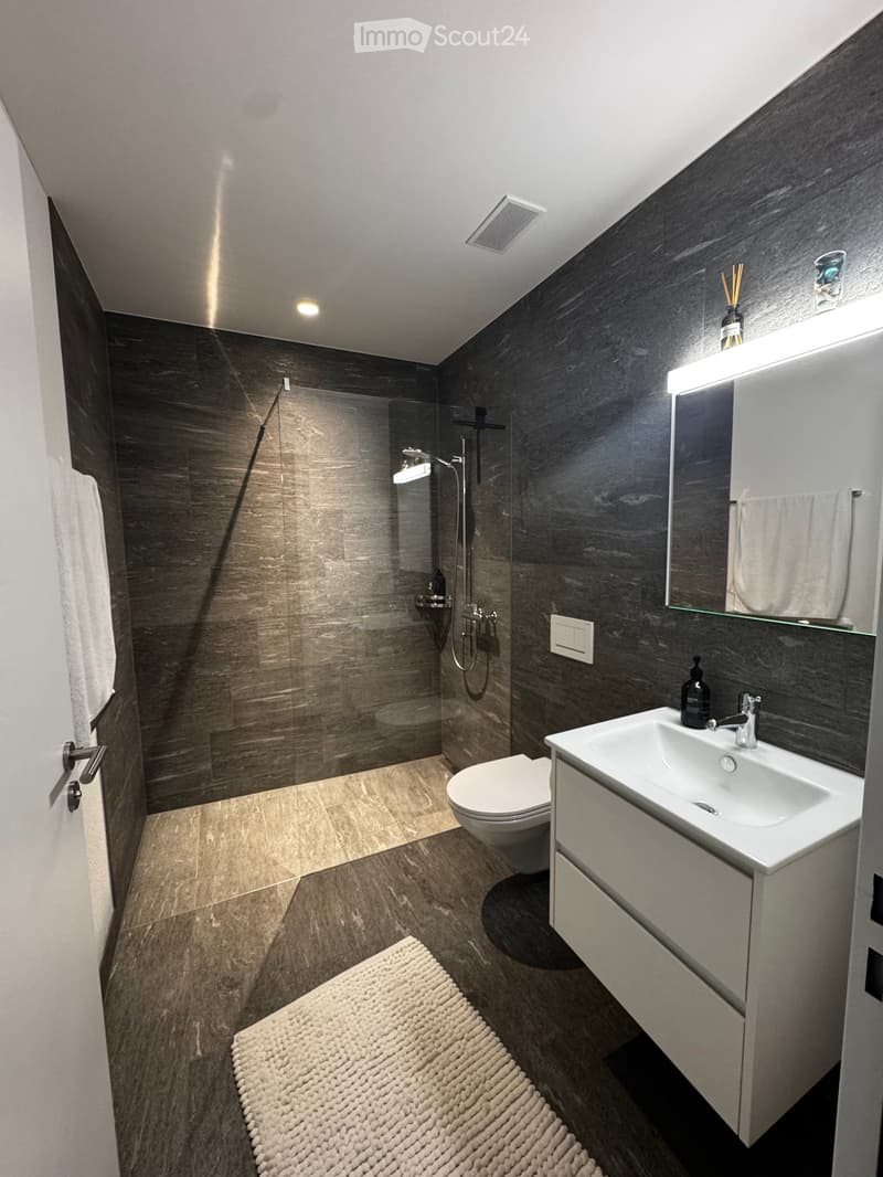 Modern bathroom with dark grey tiles, a white sink, a toilet, a shower area with glass enclosure, a mirror with built-in lighting, and a white bathroom rug.