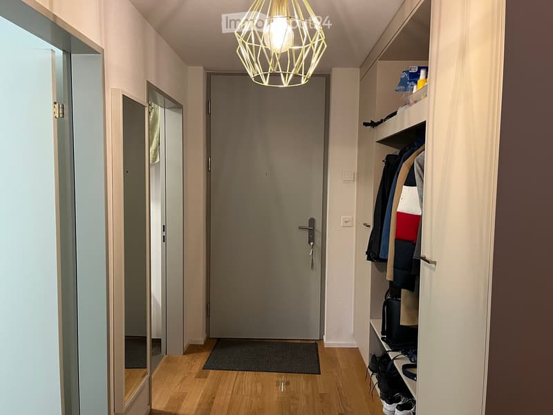 A modern hallway with wooden flooring, built-in storage unit, and a geometric pendant light fixture.