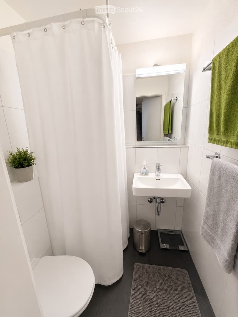 Modern bathroom with white tiles, a toilet, a sink with a mirror, a towel, a trash can, a small plant, and a bathroom rug.