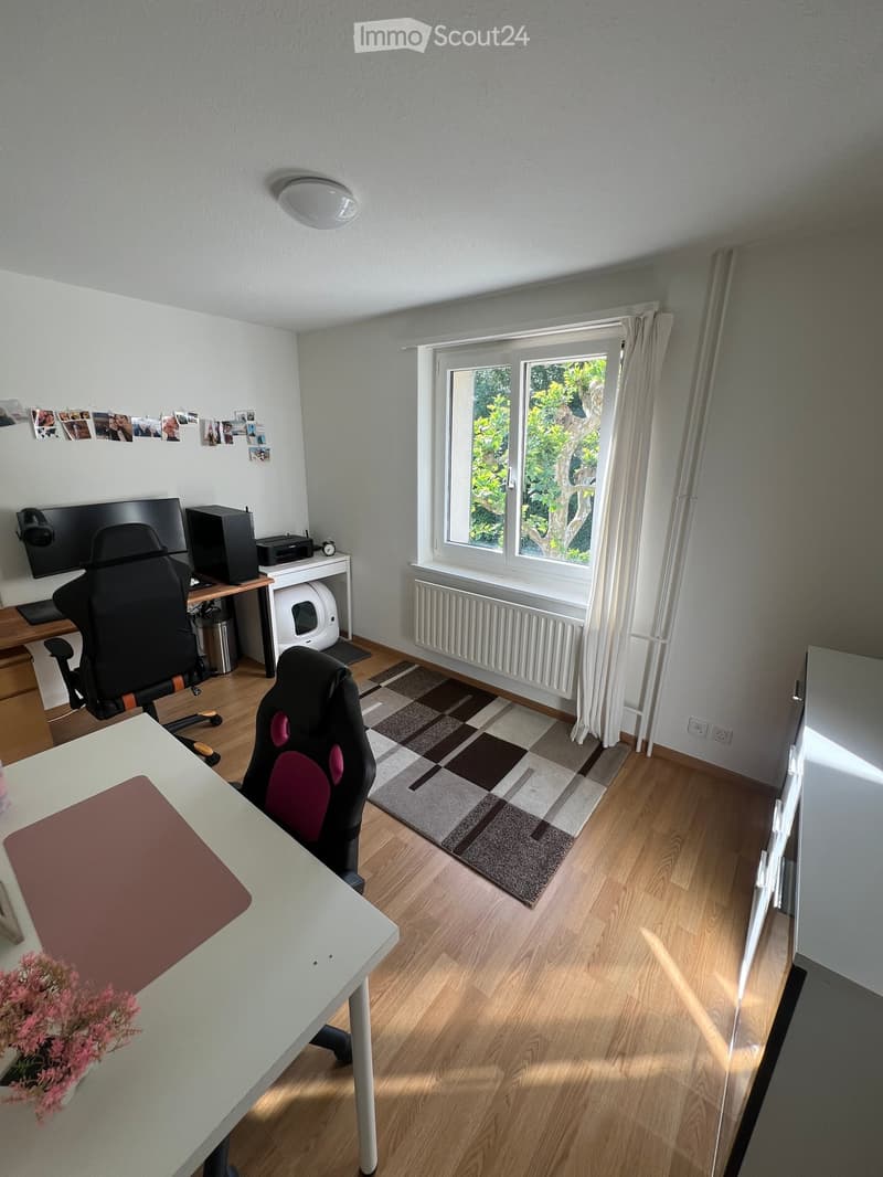 A well-lit room with wooden flooring, a large window with white curtains, a radiator, a patterned rug, and two ergonomic chairs with desks.
