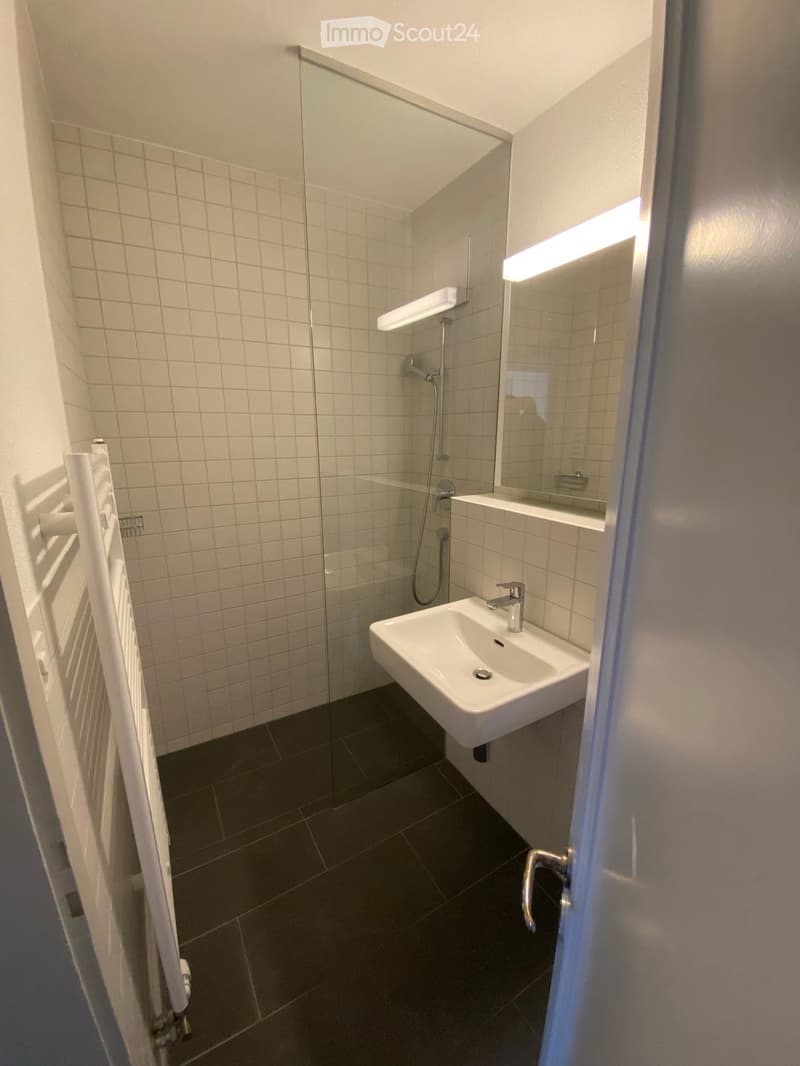 Modern bathroom with white tiled walls, dark tiled floor, glass-enclosed shower, white sink with chrome faucet, and built-in mirror with lighting.