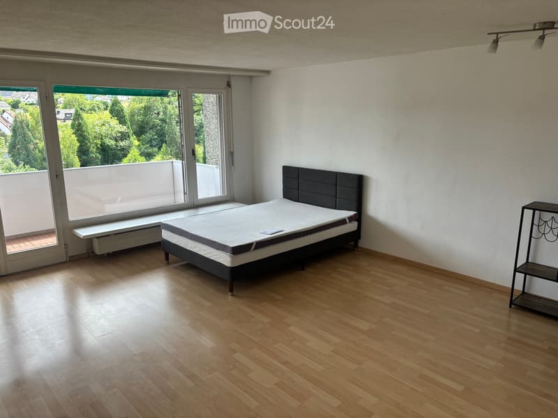Appartamento luminoso di 1,5 locali al 10° piano con balcone e bella vista a Dietikon (4)
