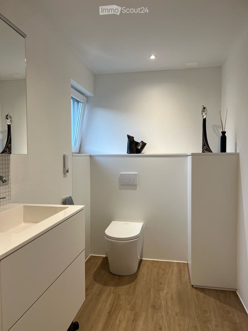 Modern bathroom with a toilet, sink, mirror, and decorative vases on the counter.