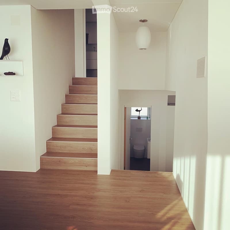 Modern hallway with wooden stairs, white walls, and a pendant light. A small bathroom is visible at the end of the hallway.