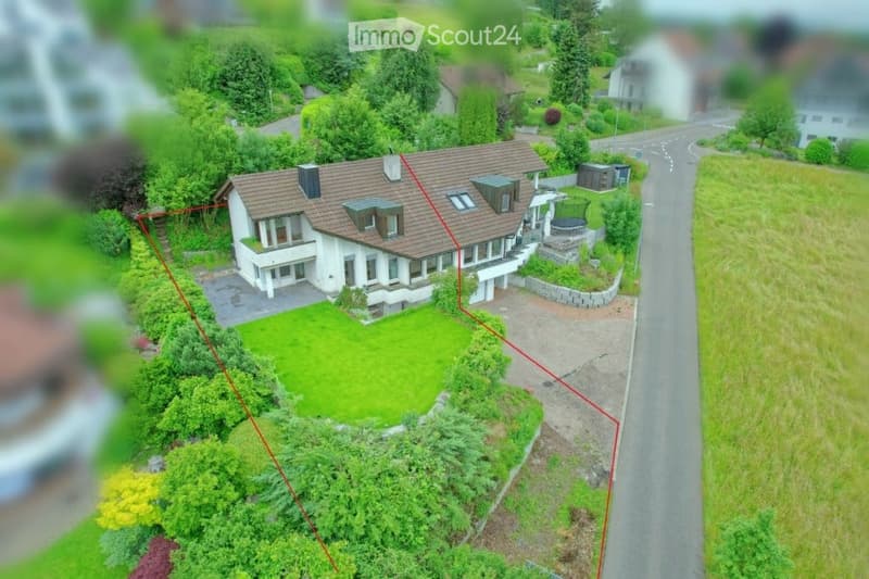 Detached house, brown roof, white walls, driveway, garden, green lawn, trees, bushes, road