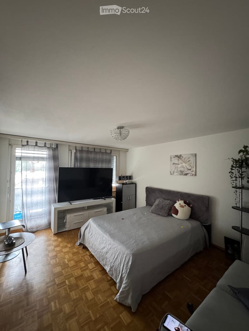 3.5-room apartment on the 3rd floor (no elevator) (1)
