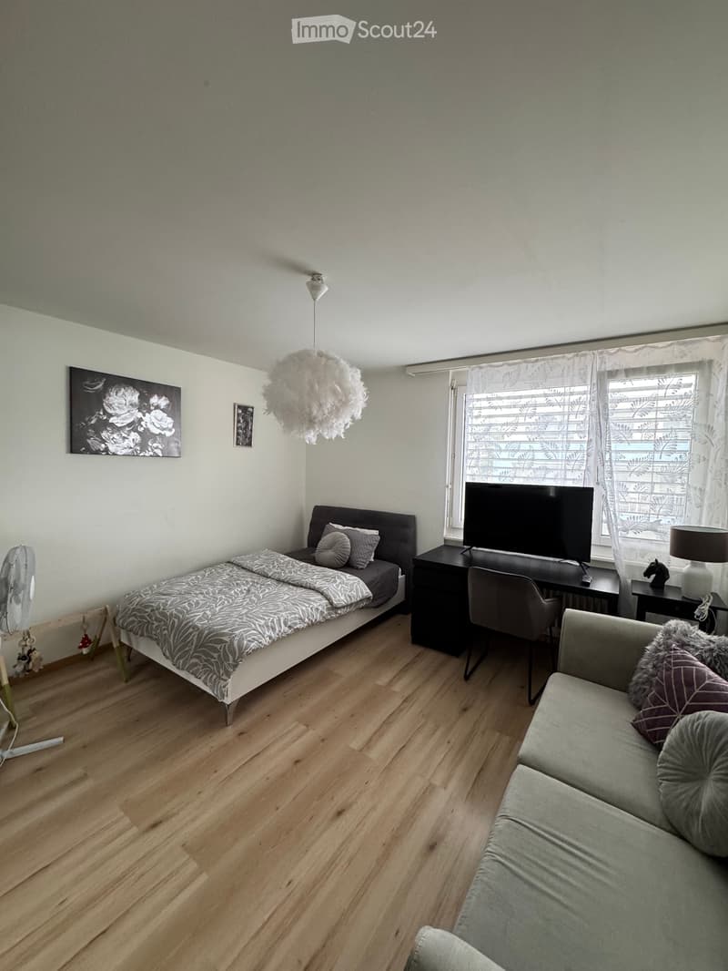 3.5-room apartment on the 3rd floor (no elevator) (4)