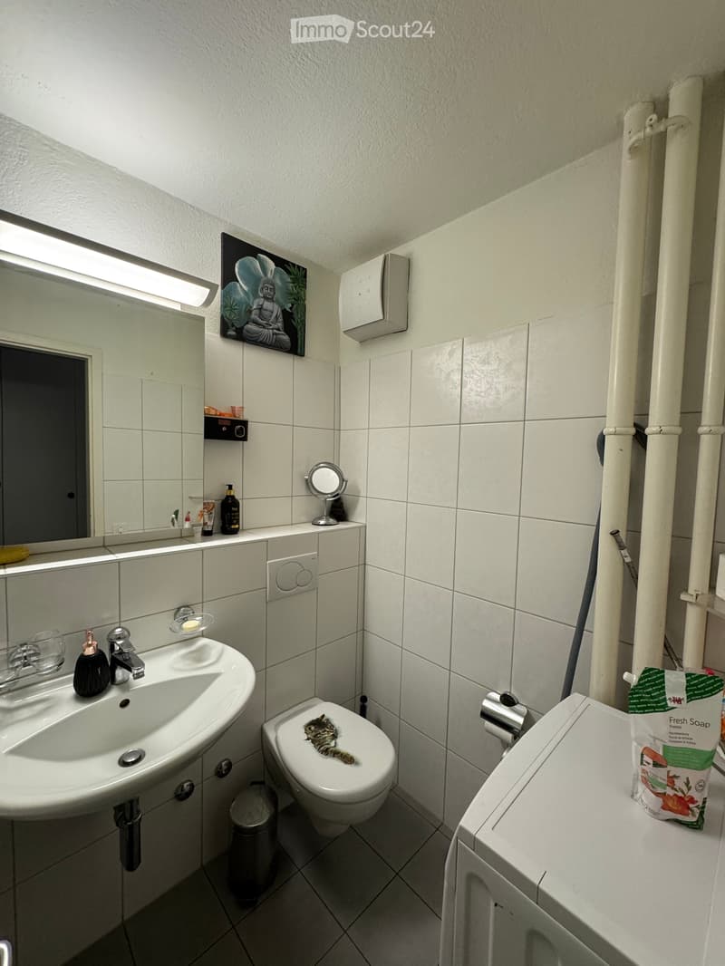 3.5-room apartment on the 3rd floor (no elevator) (5)
