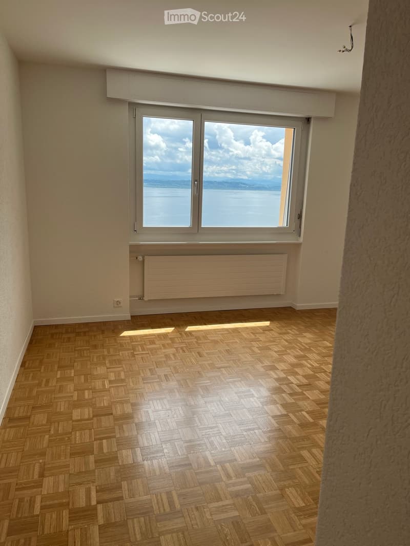 Empty room with wooden herringbone flooring, large window with scenic view, radiator, and neutral-colored walls.