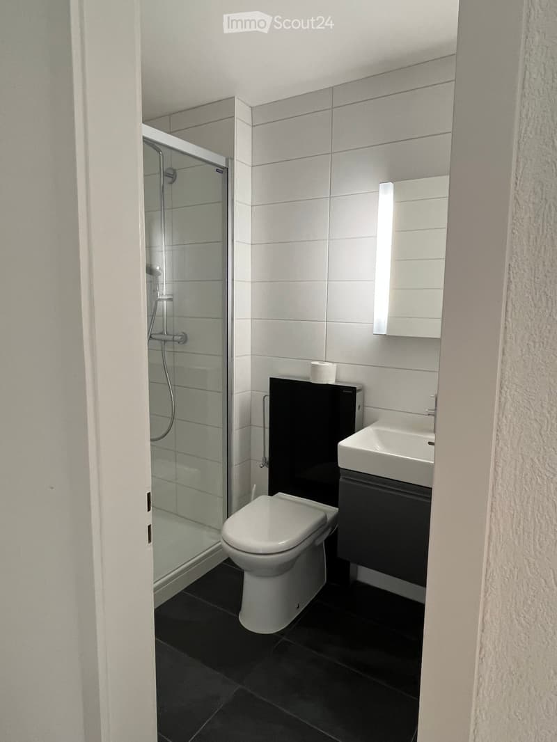 Modern bathroom with white tiles, black cabinet, toilet, sink, mirror, and glass-enclosed shower.
