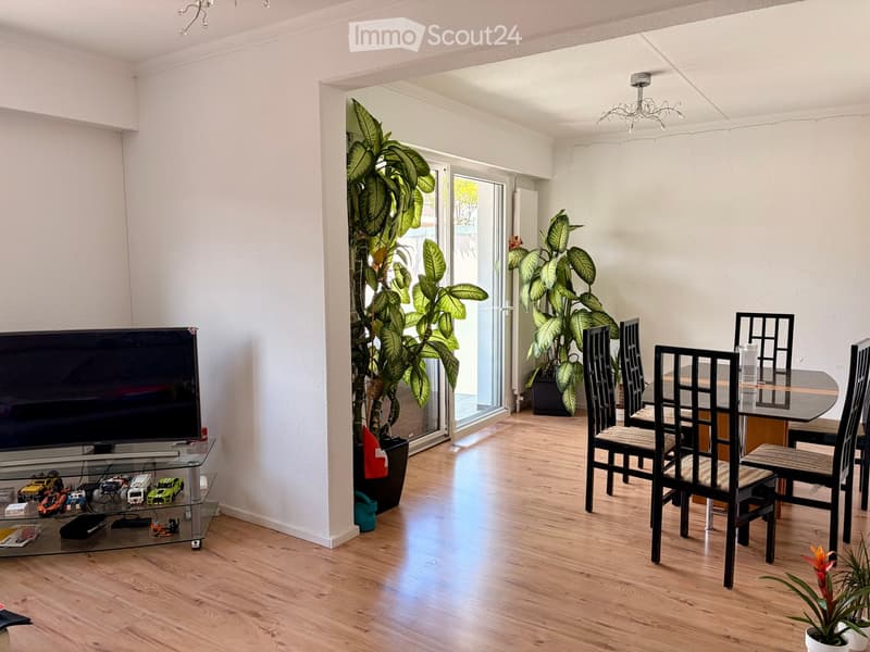 A combined living and dining area with a television on a glass stand, a glass dining table with chairs, and potted plants near a sliding glass door.