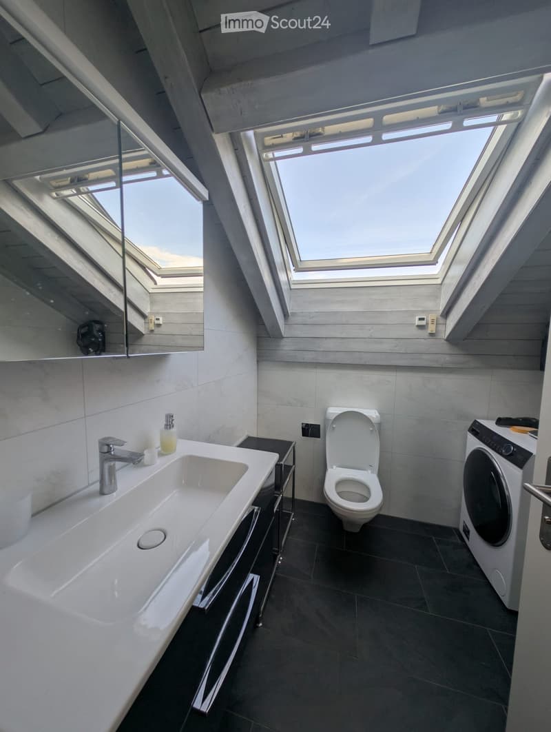 Modern bathroom with a large sink, toilet, washing machine, and skylight windows providing natural light.