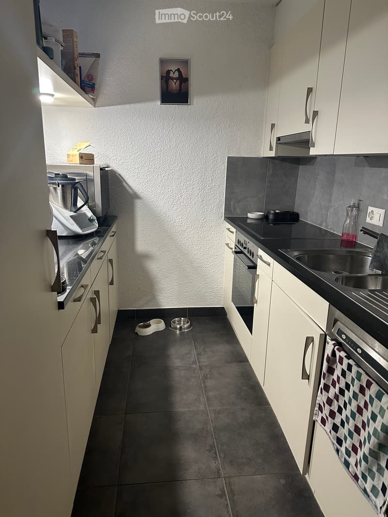 Modern kitchen with white cabinets, black countertops, and stainless steel appliances. Includes an oven, sink, dishwasher, and a blender on the counter. There are two pet bowls on the floor and a picture frame on the wall.