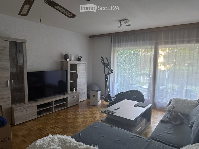 Modern living room with wooden flooring, large windows, a grey sofa, a coffee table, a TV stand, an exercise bike, and a cat resting on the sofa.