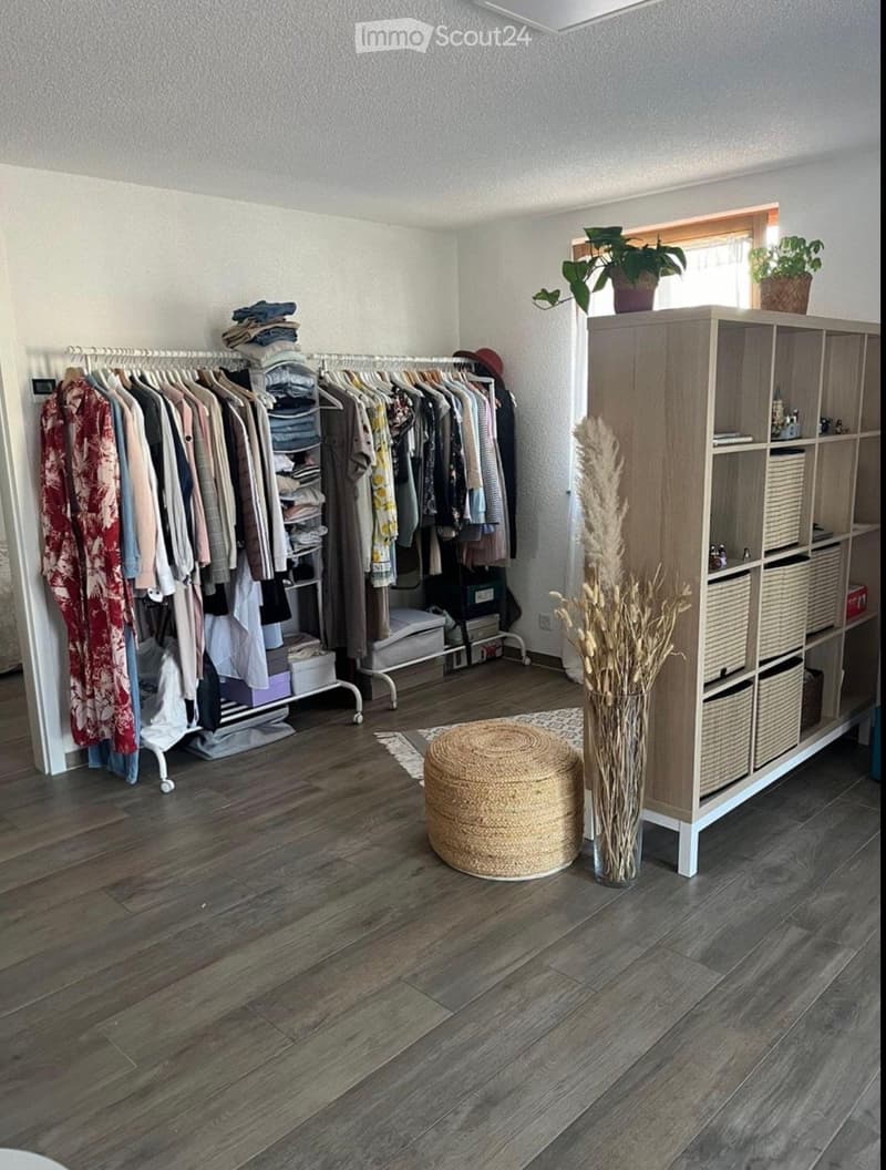 A well-organized walk-in closet with wooden flooring, a clothing rack, a large wardrobe with shelves and baskets, a round woven stool, and decorative plants.