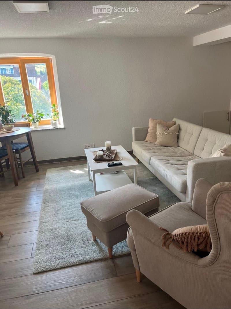 Modern living room with a light grey sofa, coffee table, ottoman, armchair, small dining table, and decorative plants near the window.