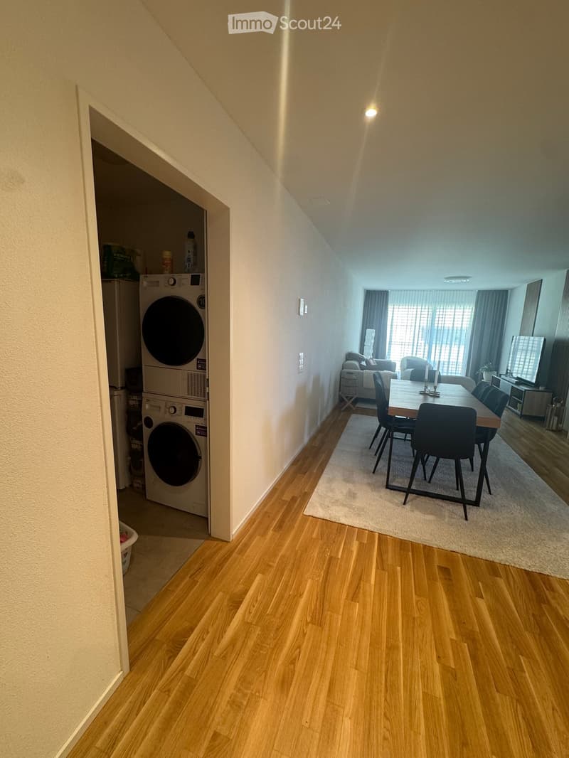 A modern, open-concept living and dining area with wooden flooring, a sofa, a dining table with chairs, and a washing machine in the adjacent laundry area.