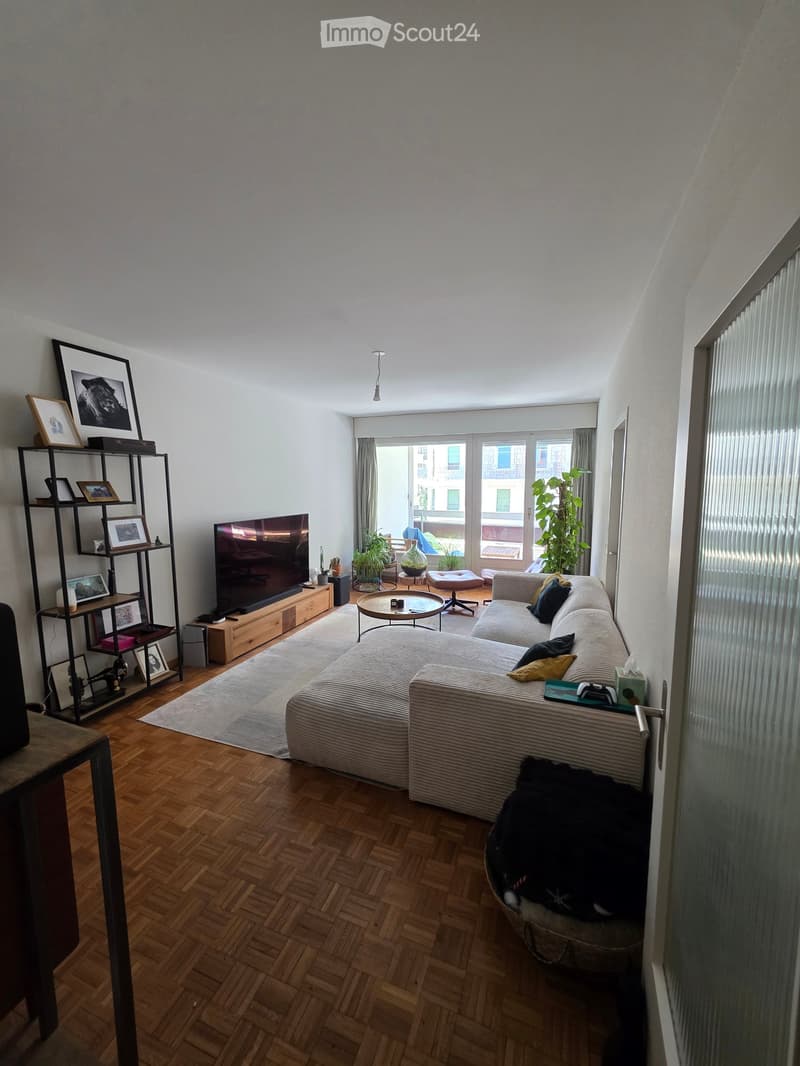 Modern living room with a grey sectional sofa, coffee table, large television, wooden shelf with framed photos, and a cat basket. The room features wooden flooring, large windows with a view, and several plants.