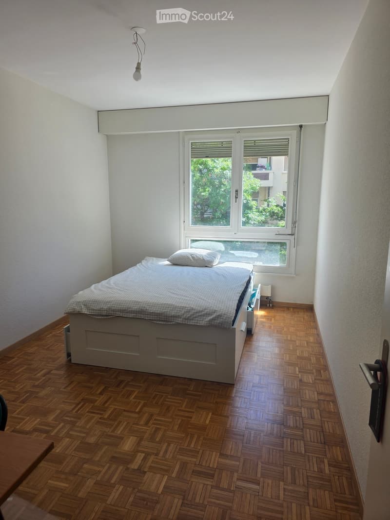 A small bedroom with wooden herringbone flooring, a single bed with a grey duvet and pillow, and large windows with blinds offering a view of greenery outside.