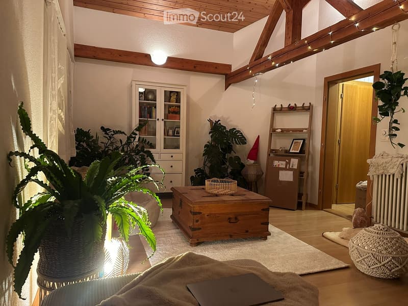 Cozy living room with wooden beams, exposed ceiling, large plants, a sofa, coffee table, cabinet, bookshelf, and a laptop on the floor.