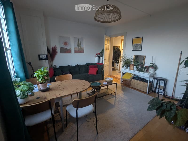 A cozy living room with a grey sofa, wooden dining table, chairs, a small stool, a mirror, several potted plants, picture frames, and a guitar in the corner.