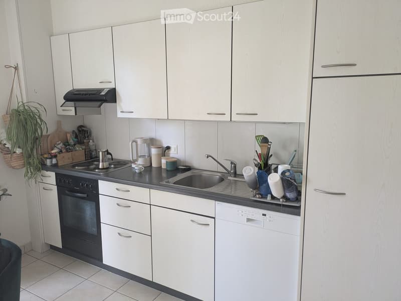 Modern kitchen with white cabinets, stainless steel appliances, and a black countertop. Features an oven, dishwasher, sink, and various kitchen items.