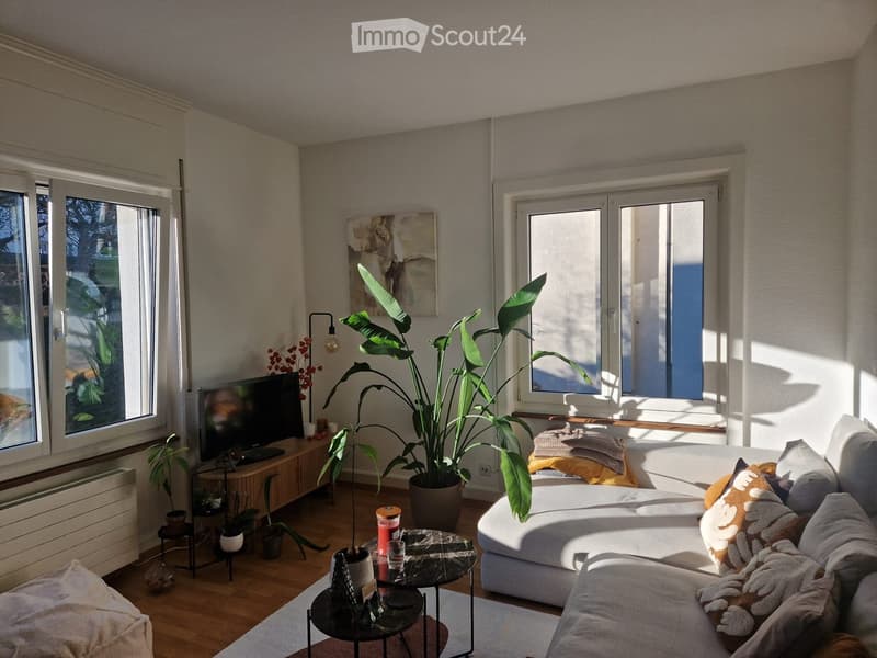 Modern living room with large windows, light-colored sofa, coffee table, television, floor lamp, and potted plants.