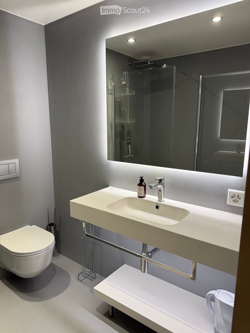 Modern bathroom with a white toilet, a large sink with a modern faucet, a large mirror, and a glass-enclosed shower area.