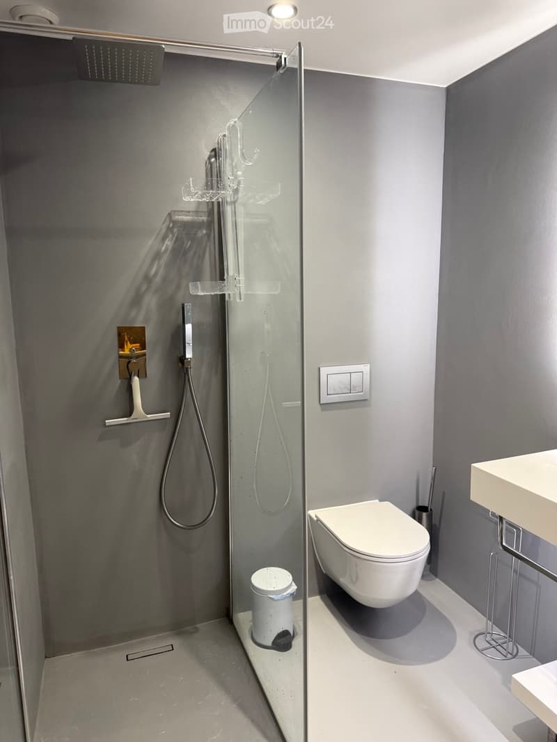 Modern bathroom with grey walls, white toilet, sink, and glass-enclosed shower with a handheld showerhead and fixed showerhead. Includes a small trash bin inside the shower area.