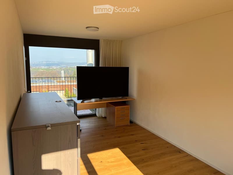 Modern furnished room with wooden flooring, large window offering a scenic view, television on a wooden stand, and a cabinet.
