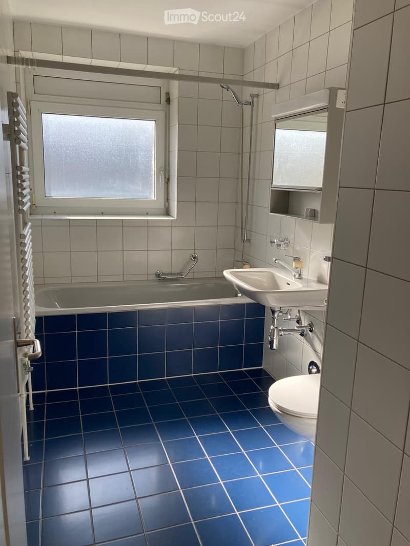 Bathroom with blue tiled floor, bathtub, sink, toilet, mirror, and showerhead.
