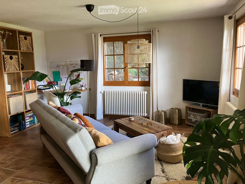 A cozy living room with a grey sofa, wooden coffee table, bookshelf, television, and decorative plants.