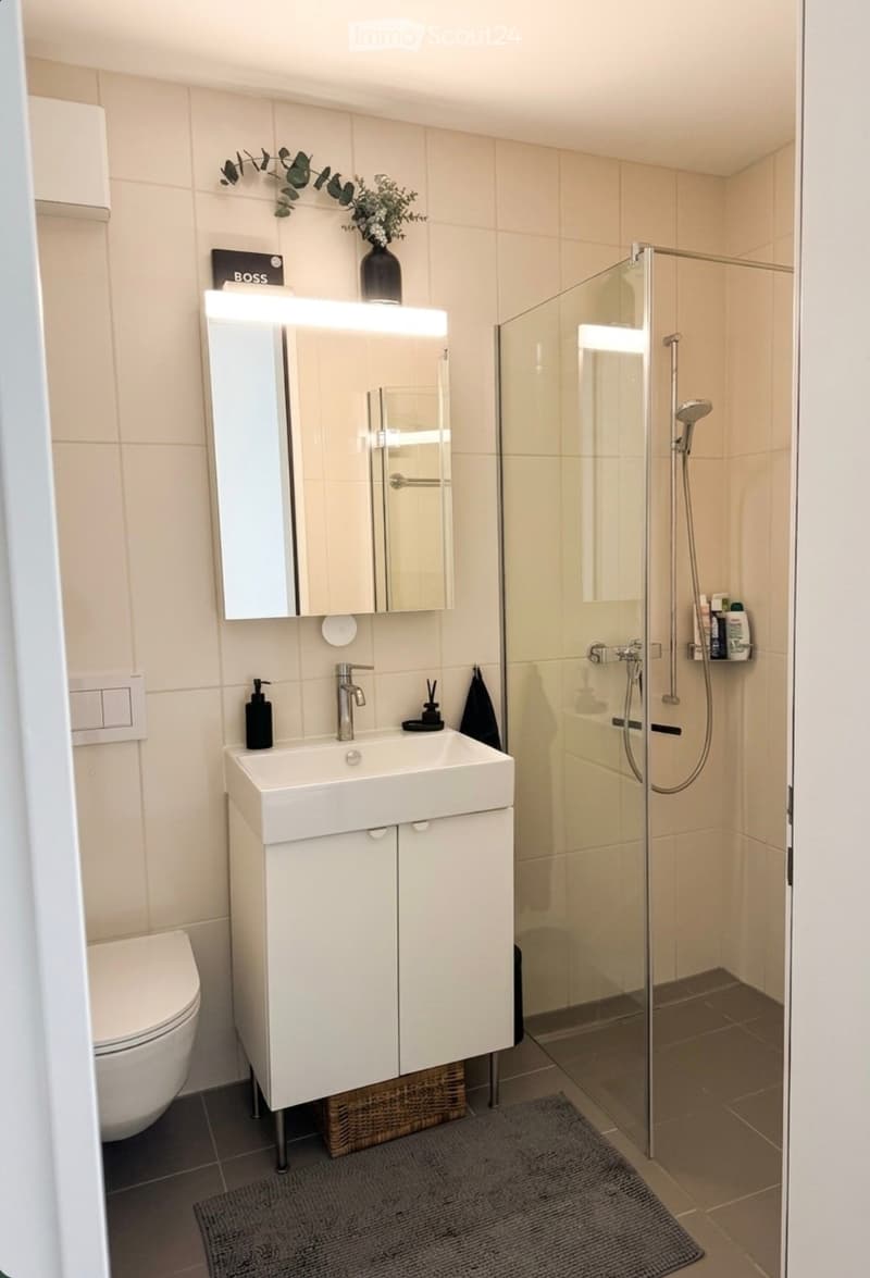 Modern bathroom with a white sink, mirror, toilet, and glass-enclosed shower. Includes a vanity cabinet, soap dispenser, and decorative vase with greenery.