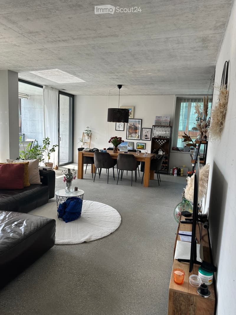 Modern living room with a sofa, coffee table, dining table, chairs, pendant light, shelves, and decorative items.