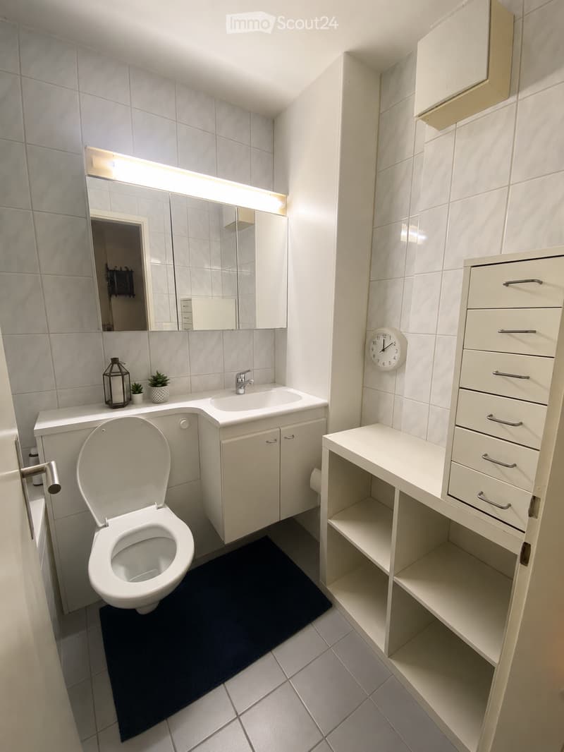 Modern bathroom with white tiles, a toilet, sink, mirror, cabinet, clock, shelf, small plant, and lantern on the counter.
