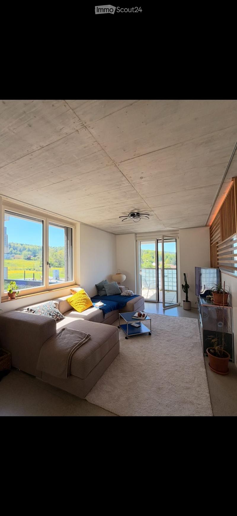 Modern living room with large windows offering a scenic view, a sectional sofa, coffee table, TV, and potted plants.
