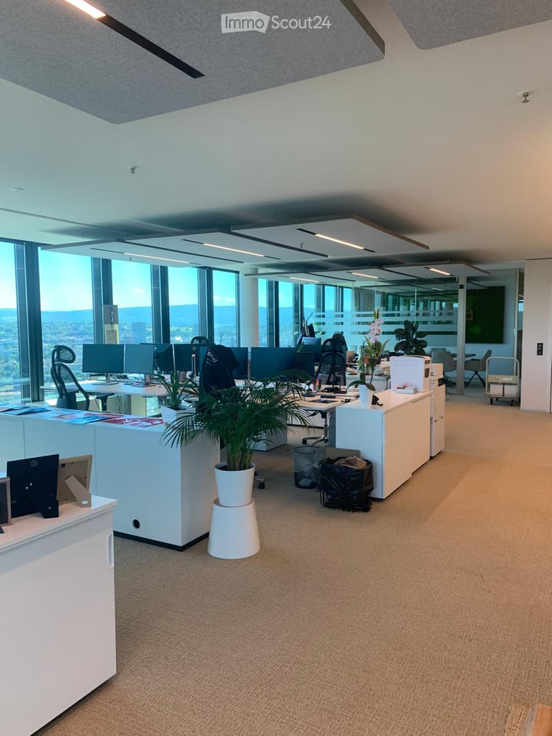 Modern office space with desks, chairs, computer monitors, potted plants, and cabinets. Large windows offer a scenic view.