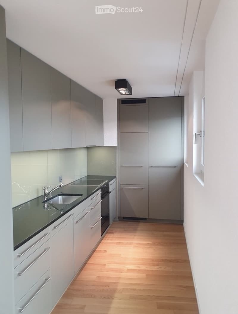Modern kitchen with light grey cabinets, stainless steel appliances, and a wooden floor.