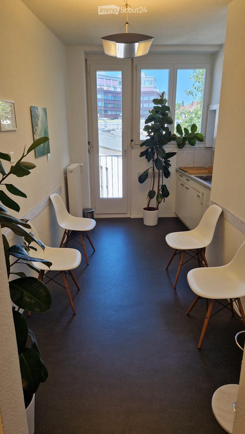 Modern, minimalist hallway with dark flooring, white chairs, potted plants, radiator, and a small kitchen area with a sink and cabinets.