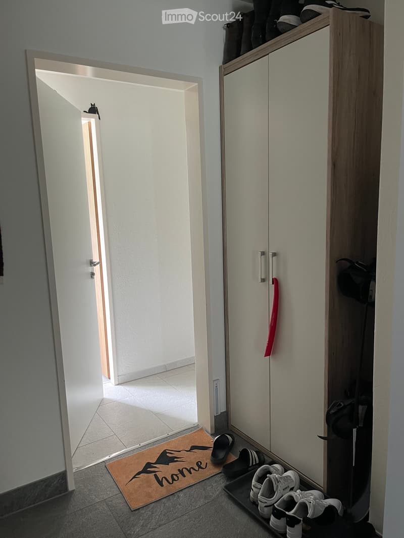 Hallway with a shoe rack, a doormat, and a closet with mirrored doors. The floor is tiled, and the walls are painted white.
