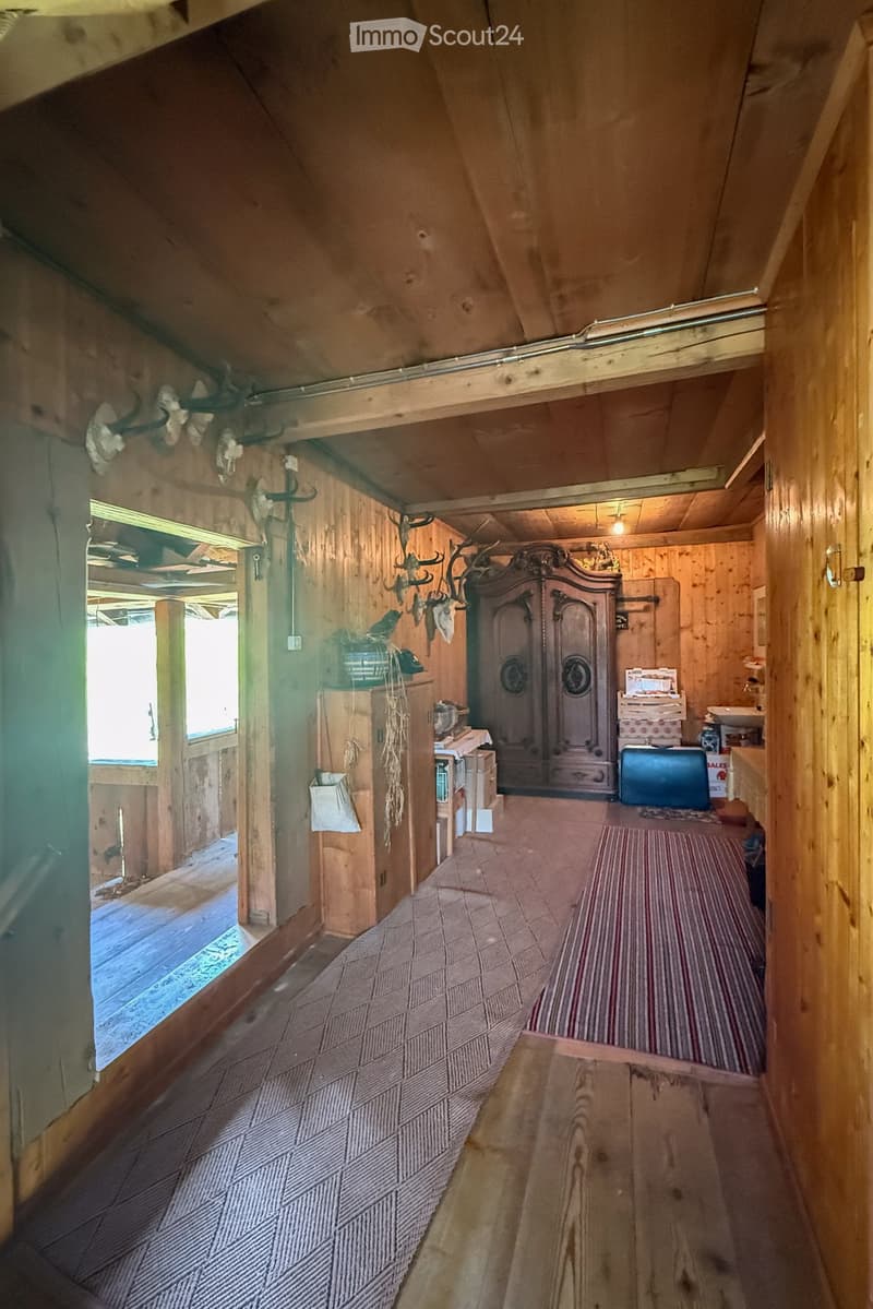 wooden walls, floor and ceiling, cabinet, deer antlers, rugs, closet, and lamp