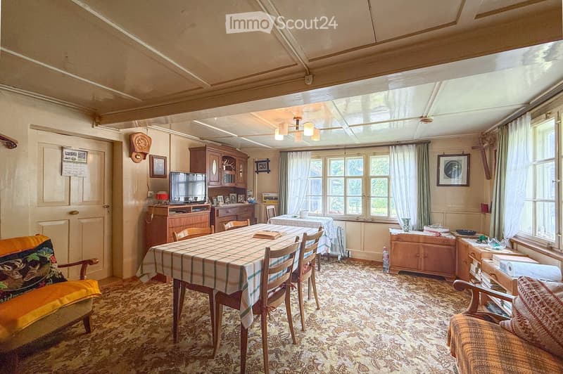 Dining room with a table and chairs, a radiator, and a cabinet with a TV. The windows have curtains, and there is a framed picture on the wall. There is a pillow on a couch, a bottle on the floor, and a cabinet with books and rolls of paper.