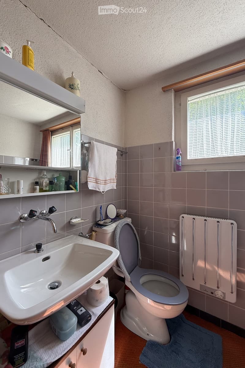 Single vanity, mirror, radiator, toilet, towel rack