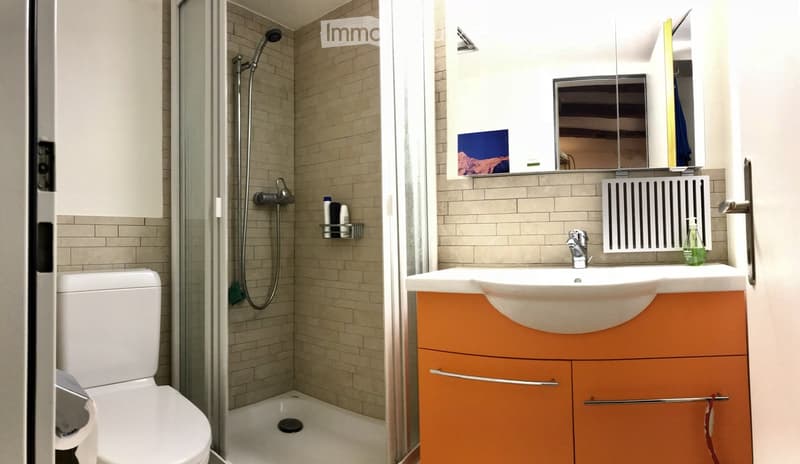 Modern bathroom with a white toilet, a sink with an orange cabinet, a mirror above the sink, and a glass-enclosed shower area with a shower head and hose.